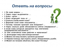 Ответь на вопросы