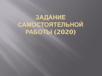 Задание самостоятельной работы (20 20 )