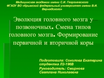 Эволюция головного мозга у позвоночных. Смена типов головного мозга