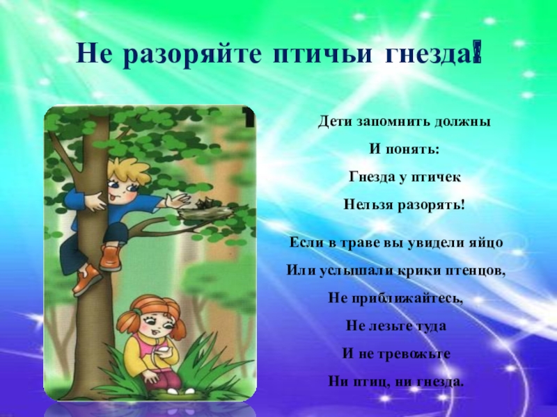 Презентация 3 класс поведение в лесу 3 класс