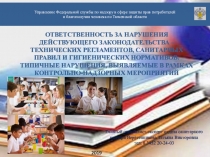 Ответственность за нарушения действующего Законодательства – ТЕХНИЧЕСКИХ