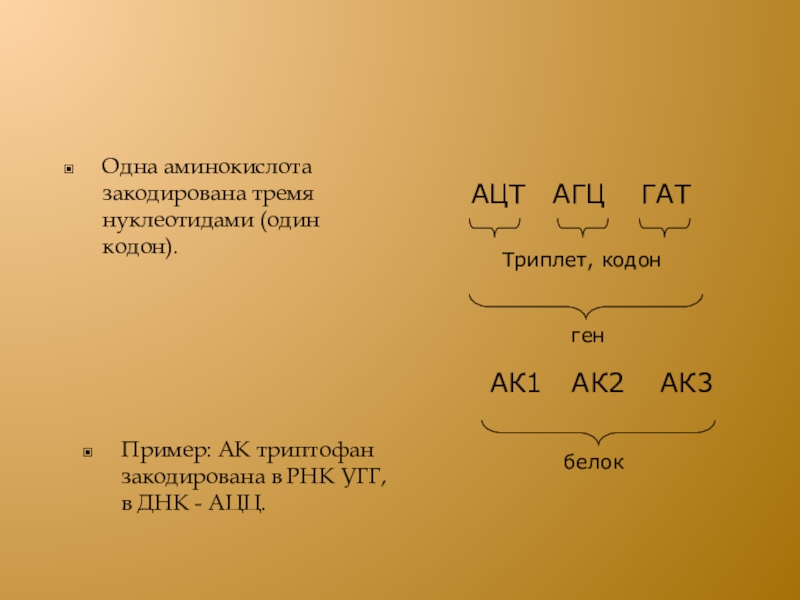 Триплет нуклеотидов кодирует. Одна аминокислота кодируется тремя нуклеотидами. Одна аминокислота кодируется. Кодоны аминокислот. Один кодон одна аминокислота это.