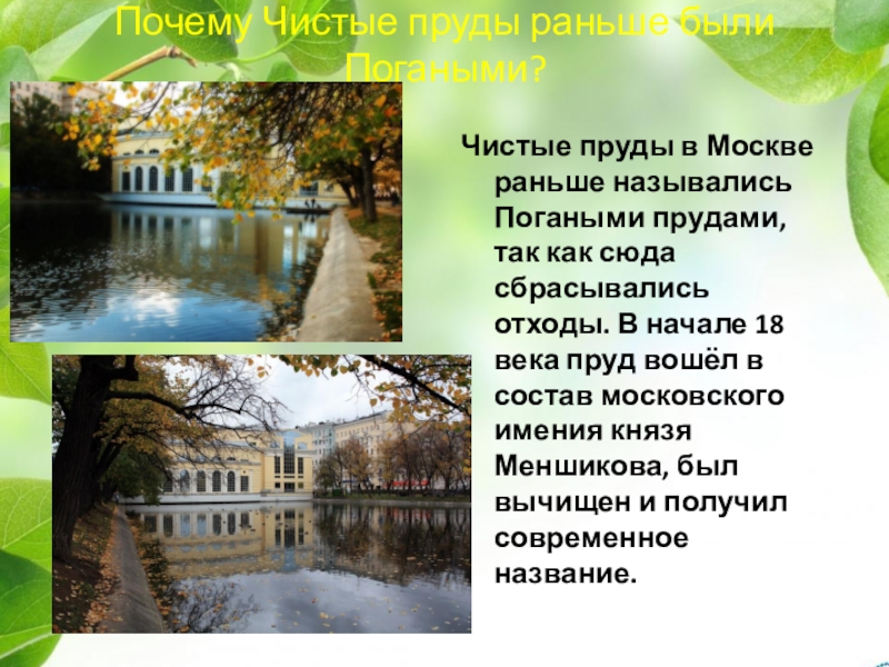 Как называется заранее. Как раньше назывались чистые пруды в Москве. Как называлась чистые пруды. Стихи про чистые пруды. Какие пруды назывались погаными в Москве.