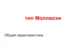 тип Моллюски