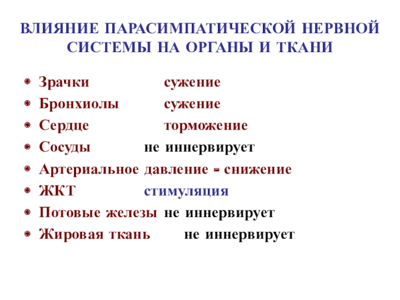 Сужение зрачков парасимпатическая. Эффекты парасимпатической нервной системы. Парасимпатическое влияние. Парасимпатическое влияние на сердце. Влияние кофе на парасимпатическую.