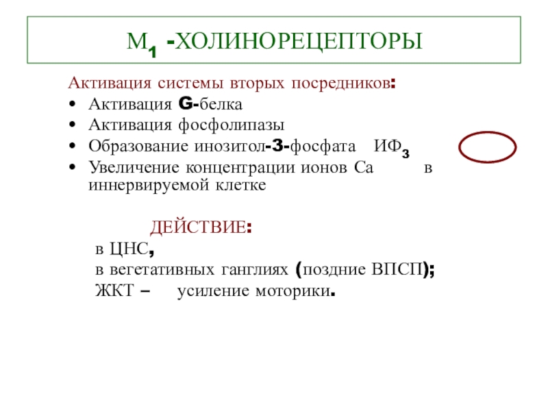 Система второго. Система вторых посредников. Система второго посредника. Система липидных вторых посредников. М холинорецепторы белки.