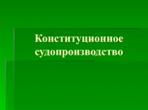 Конституционное судопроизводство