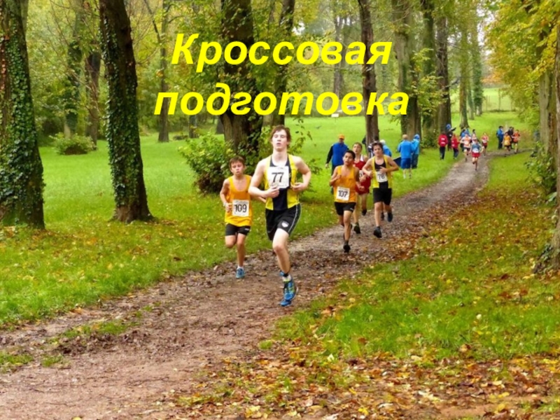 Кроссовая подготовка