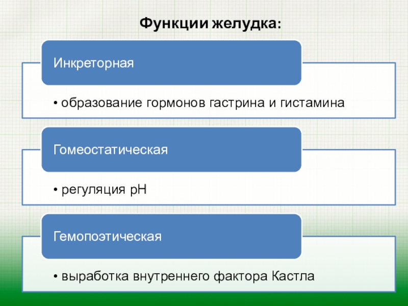 Инкреторная функция это. Функции желудка. Экскреторная функция желудка. Инкреторная функция пищеварительной системы. Инкреторная функция ЖКТ.