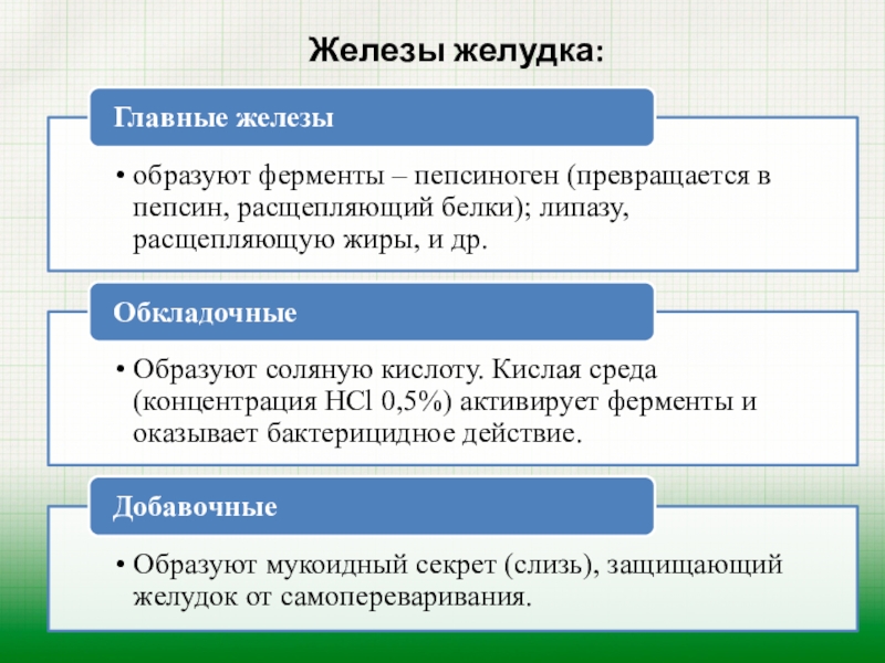 Кровь пепсиноген 1. Пепсиноген 1 норма. Пепсиноген это физиология. Соотношение пепсиноген i / пепсиноген II. Повышенный пепсиноген 1 и 2.