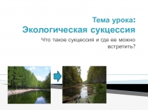 Тема урока: Экологическая сукцессия