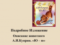 Подробное Изложение
