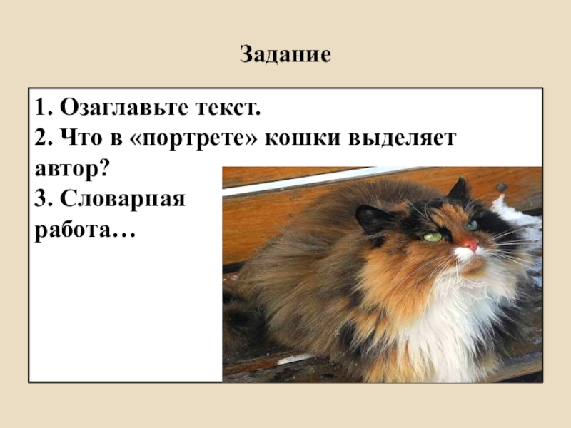 Автор выделяющий. Как озаглавить презентацию. Изложение красавица кошка 5 класс. Что такое озаглавить. Озаглавьте Текс про доклад.