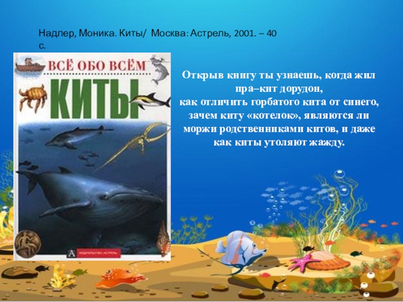 Кит 2. Проект мир китов 4 класс. Выставка мир китов. Рассказ о горбатом ките. Обзор книг в мире китов и дельфинов.