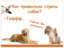 Как правильно стричь собак?
Сейчас бы
покушать
-Гаффф…