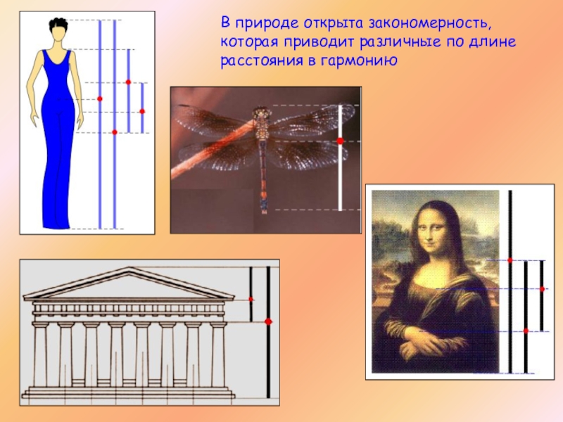 Золотое сечение в природе и архитектуре проект