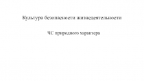 Культура безопасности жизнедеятельности