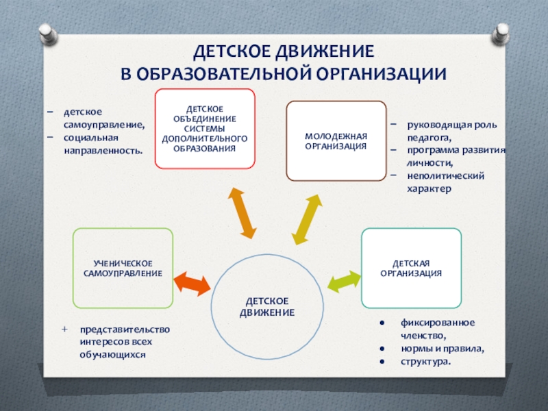 Членство общественных объединений. Детские движения и объединения.