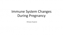 Immune System Changes During Pregnancy
