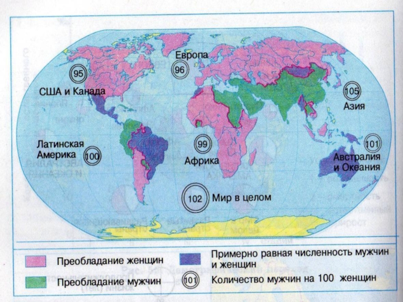 Расовый и половозрастной состав населения презентация 10 класс домогацких