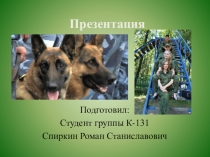 Презентация