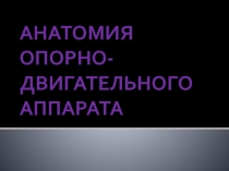 АНАТОМИЯ ОПОРНО-ДВИГАТЕЛЬНОГО АППАРАТА