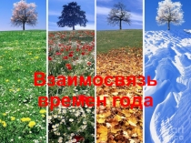 Взаимосвязь времен года