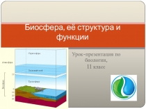 Биосфера, её структура и функции