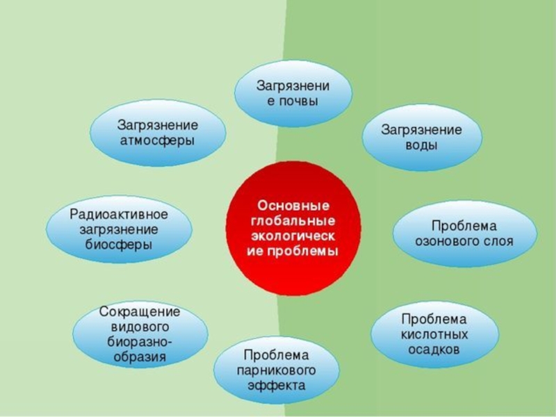 Экологические проблемы современности план егэ