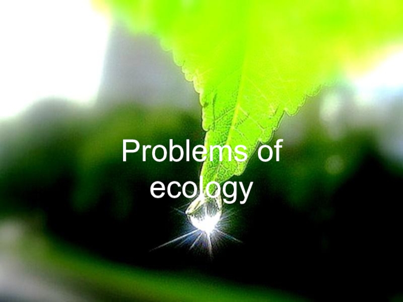 Презентация Problems of ecology
