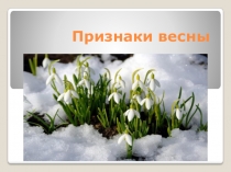 Признаки весны