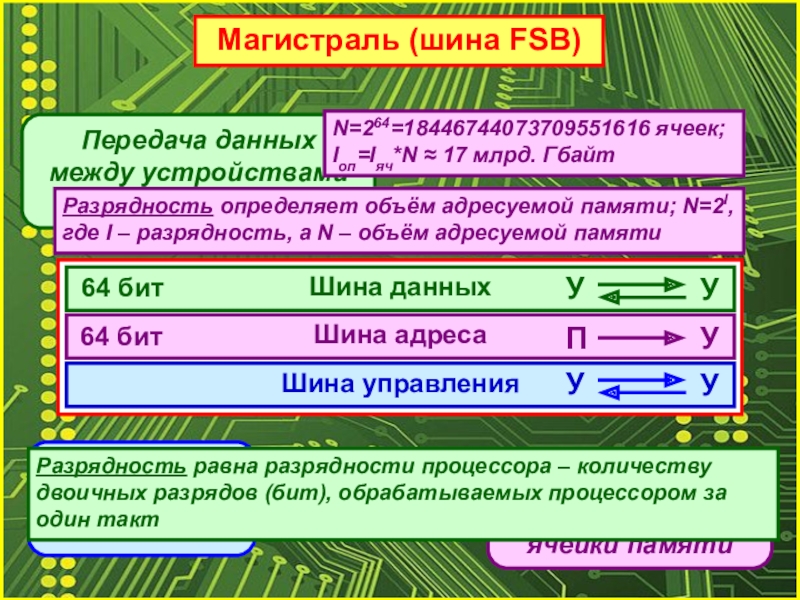 Для чего нужна шина данных в компьютере