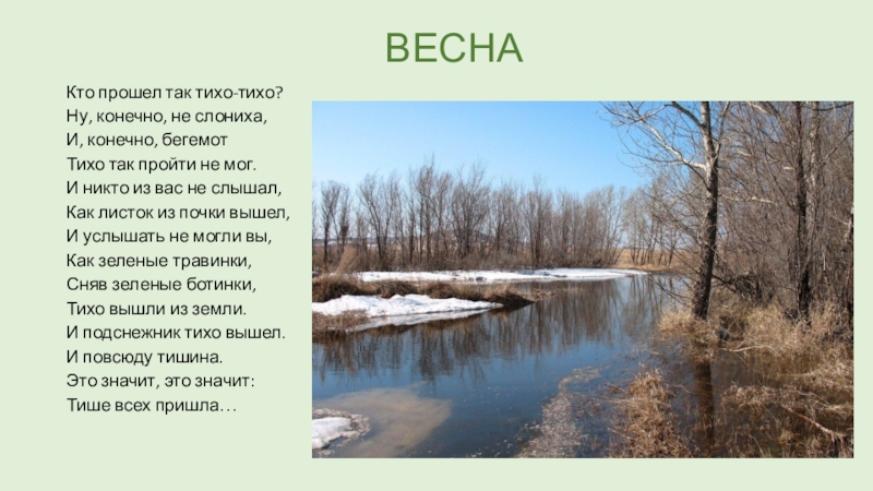 Ну тихо. Кто прошел так тихо тихо ну конечно не слониха. Стих и тихо так тихо. Стихотворение кто пришел так тихо тихо. Тихо так тихо текст.