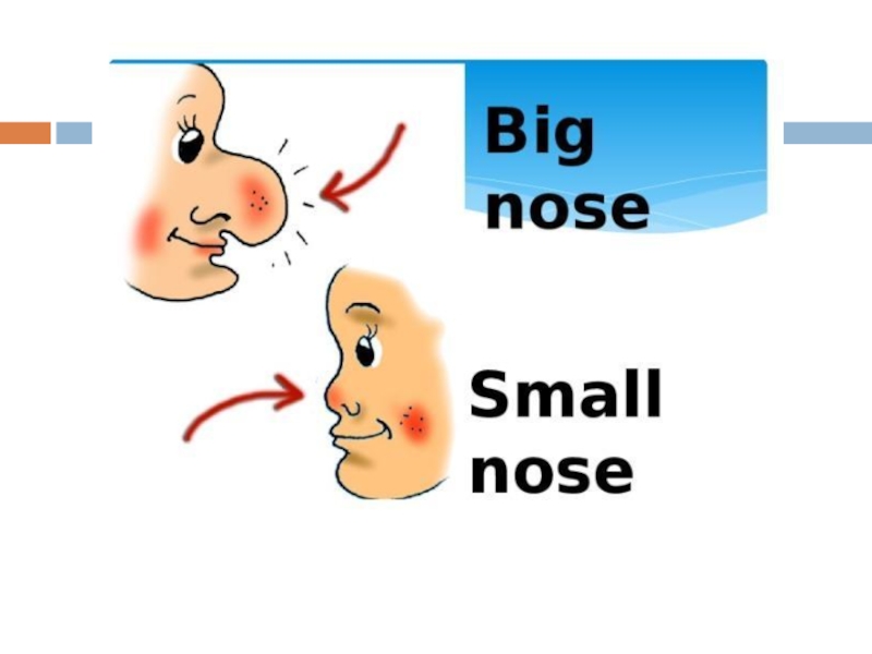 He s got nose. Карточки на англ языке нос. Нос на английском. Big nose рисунок. Маленький нос на английском.