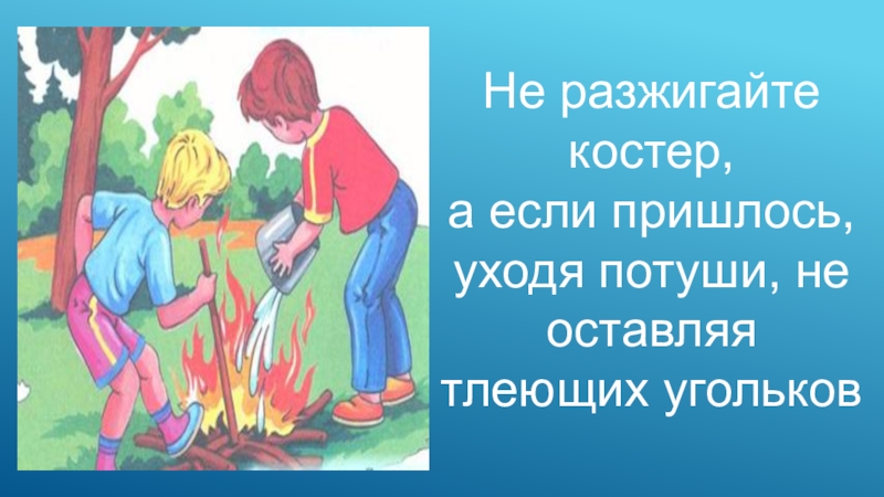 Картинка не разжигай костер в лесу