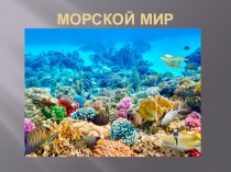 Морской мир