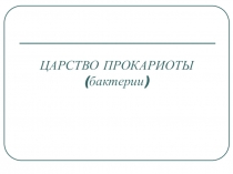 ЦАРСТВО ПРОКАРИОТЫ (бактерии)