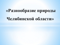 Разнообразие природы Челябинской области