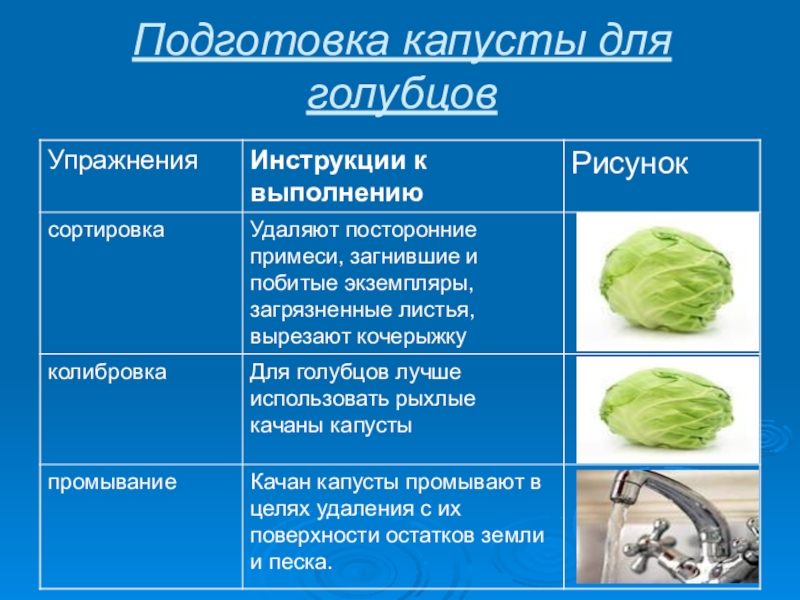 Механическая обработка овощей схема