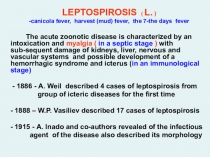 LEPTOSPIROSIS ( L. )
-canicola fever, harvest (mud) fever, the 7- the day s