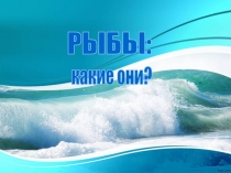 РЫБЫ:
какие они?