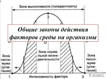 Общие законы действия факторов среды на организмы