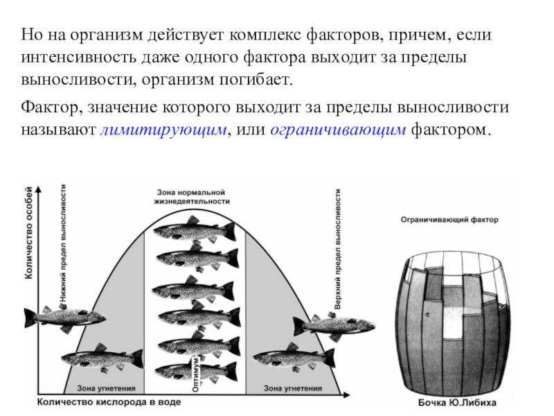 Пределы выносливости схема