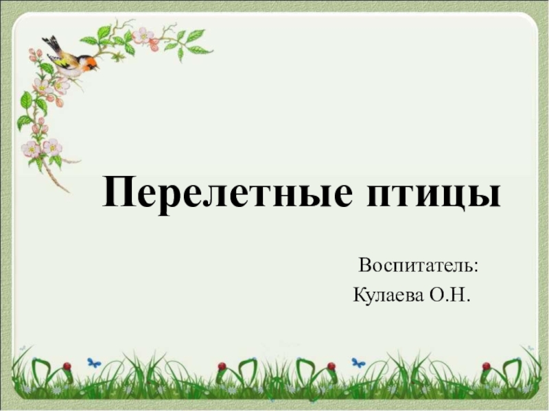 Перелетные птицы
Воспитатель:
Кулаева О.Н