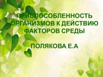 Приспособленность организмов к действию факторов среды Полякова Е.А