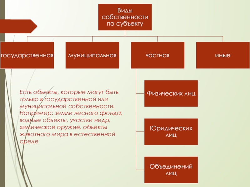 Муниципальная собственность на лесные участки. Земли лесного фонда форма собственности. Водные объекты муниципальной собственности. Объекты муниципальной собственности на землю. Формы собственности на леса.