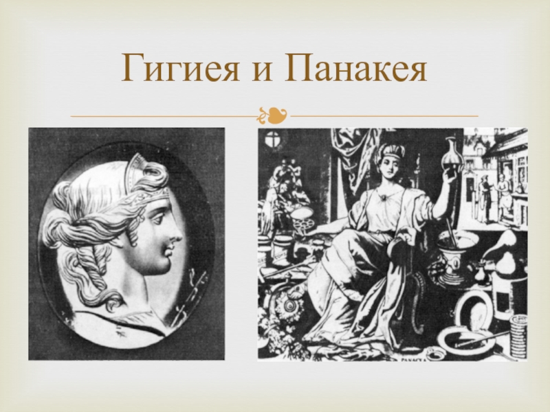 Панакея бердск сайт. "Гигиея Новокузнецк. Гигиея стоматология. ООО гигиея Сыктывкар Орджоникидзе. Зубкова т.в. "Панакея".