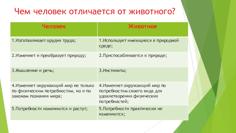 Чем отличаются версии. Отличие человека от животного 4 класс окружающий мир. Чем человек отличается от животного. Чем человек отличается от жи. Чем отоичаетячеоовек от животного.