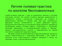 Летняя полевая практика
по зоологии беспозвоночных
Учебно-полевая практика -