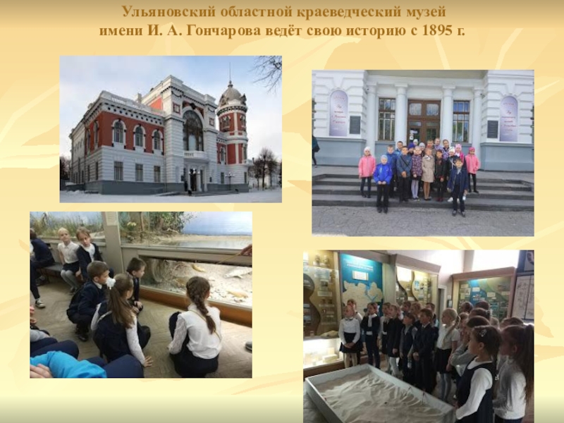 Ульяновский областной краеведческий музей имени И. А. Гончарова ведёт свою историю с 1895 г.
